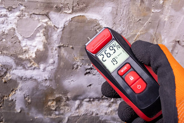Best Fast Mold Removal  in Winthrop, MN